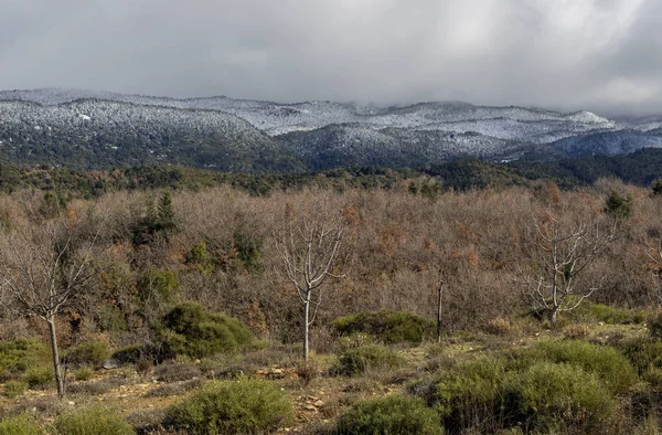Bergen på en vinter, mulen dag (Peloponnesos, Grekland) — Stockfoto