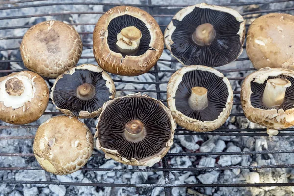 Cooking mushrooms on charcoal close-up