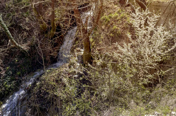 Kleiner Bergfluss an einem sonnigen Tag (Griechenland, Peloponnes). — Stockfoto