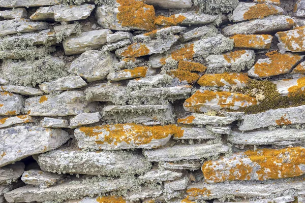 Pozadí stará šedá Kamenná stěna se žlutým mechem — Stock fotografie