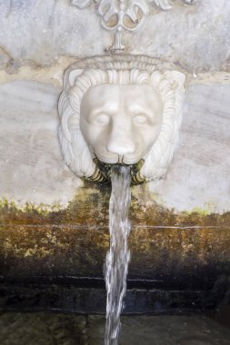 Aslan başı şeklinde maden suyu ile Sariza kaynağı