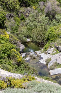 Güneşli bir günde küçük bir dağ nehri (Yunanistan, Andros Adası, Cycl