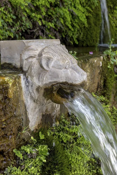 The Springs of Dionysus in the form of a lion\'s head on island A