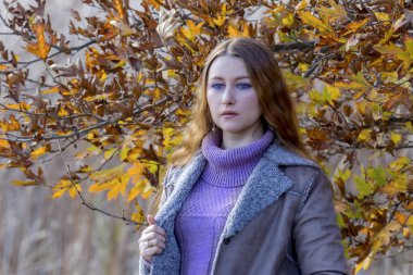 Sonbahar Ormanı arka planda genç güzel kadın