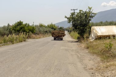 Tütün kurutma için tenteler (Nicotiana tabacum) ve kurutulmuş tütün yaprakları ile bir araba