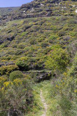 Dağlarda dar yol (Kiklad Adaları, Andros Adası, Yunanistan)