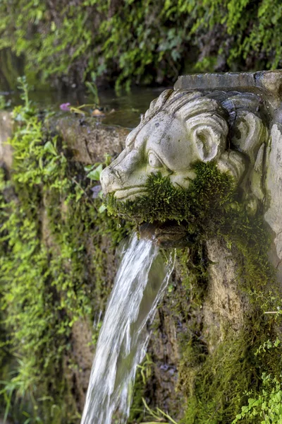 The Springs of Dionysus in the form of a lion\'s head on island Andros (Greece, Cyclades)