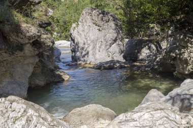 Güneşli bir günde Dağ Nehri Elikonas (Yunanistan, Pieria, Moun