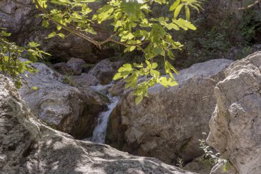 Güneşli bir günde Elikonas dağ nehri (Yunanistan, Pieria, Olimpos Dağı)
