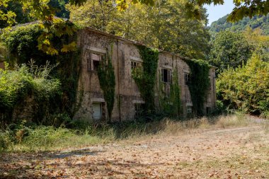 Eski, harap olmuş, güneşli bir yaz gününde ormanda pencere ve kapıları olan taş bir bina.