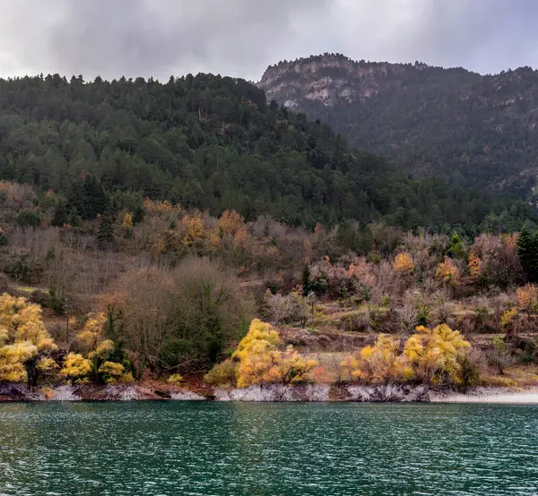 Uitzicht Het Natuurmeer Tsivilu Peloponnesus Griekenland Sparrenbos Bergen Rondom Een — Stockfoto