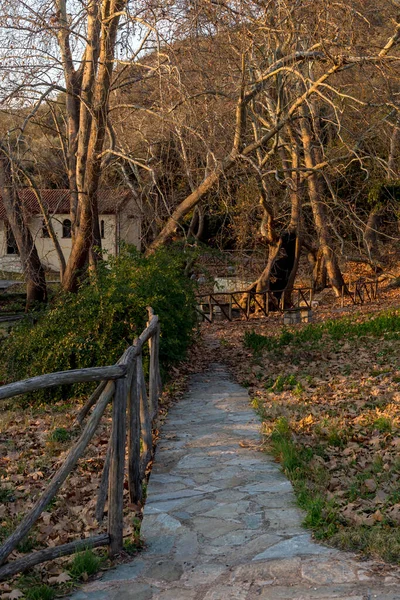 Paisagem Beco Deserto Com Folhas Sicômoro Caídas Parque Uma Noite — Fotografia de Stock