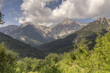 Dağ manzarası. Güneşli bir yaz gününde yeşil Helmos dağlarının manzarası (Yunanistan, Moreloponese)