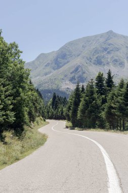 Dağlarda güneşli bir yaz gününde (Orta Yunanistan) köy yakınlarında kırsal, dar bir yol)