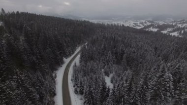 Kış orman yukarıda güzel havadan görünümü
