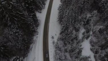 Karlı ormanlarda kış yolu üzerinde araba sürüyor, İHA 'dan hava manzarası var.