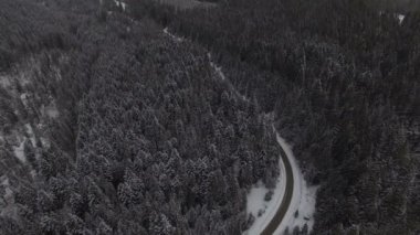 Karlı ormanlarda kış yolu üzerinde araba sürüyor, İHA 'dan hava manzarası var.