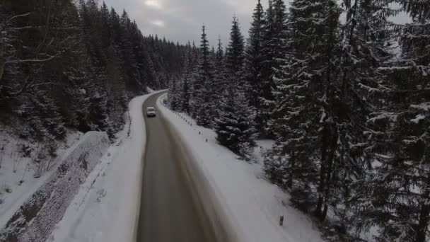 Jazda samochodem po zimowej drodze wiejskiej w zaśnieżonym lesie, widok z lotu ptaka — Wideo stockowe