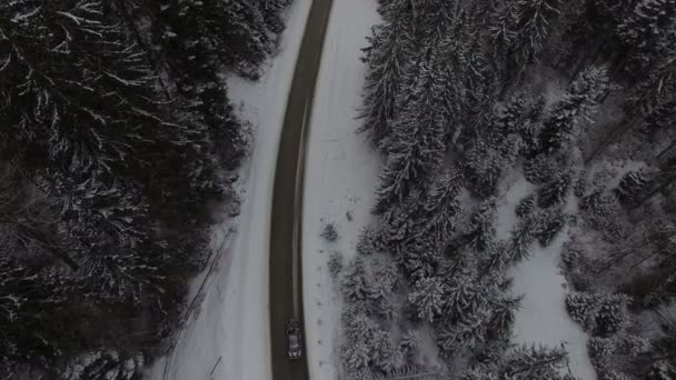 Αυτοκίνητο οδήγησης για το χειμώνα χώρα δρόμο σε χιονισμένο δάσος, εναέρια θέα από drone — Αρχείο Βίντεο