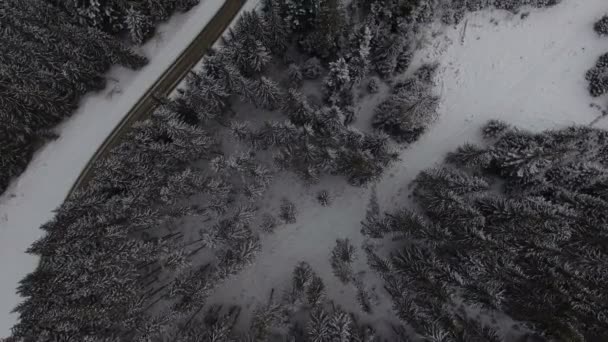 เที่ยวบินเหนือป่าฤดูหนาว ทางเหนือ มุมมองด้านบนทางอากาศ — วีดีโอสต็อก