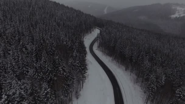 Bosque de invierno vista qerial. 4k — Vídeo de stock