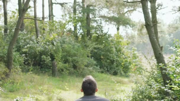 Gutaussehender Vater wirft sein entzückendes Kind in die Luft und Mama kommt. langsam — Stockvideo