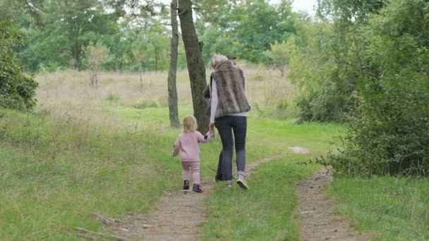 Gelukkige ouders met hun kind wandelingen in het park en gek rond. Langzaam — Stockvideo