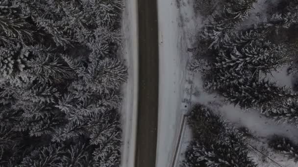 雪の森の冬の田舎道を運転する車、ドローンからの空中ビュー — ストック動画