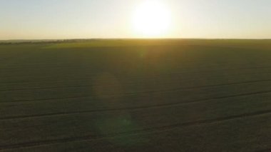 Ülke büyük ve parlak güneş doğuyor ile yeşil alan havadan görünümü