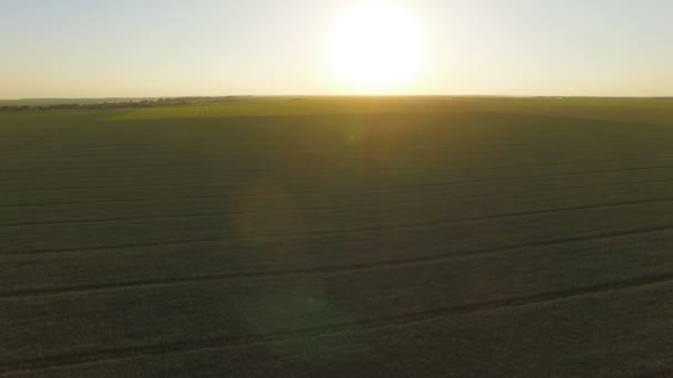 Vista aérea de los campos verdes en el país con la salida del sol grande y brillante — Vídeos de Stock