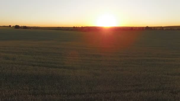 Vista aérea de la increíble puesta de sol grande y colorida entre el campo — Vídeo de stock