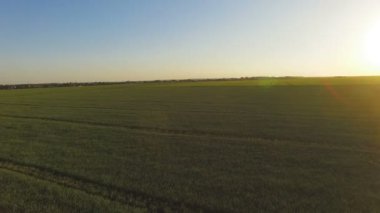 Ülke büyük ve parlak güneş doğuyor ile yeşil alan havadan görünümü