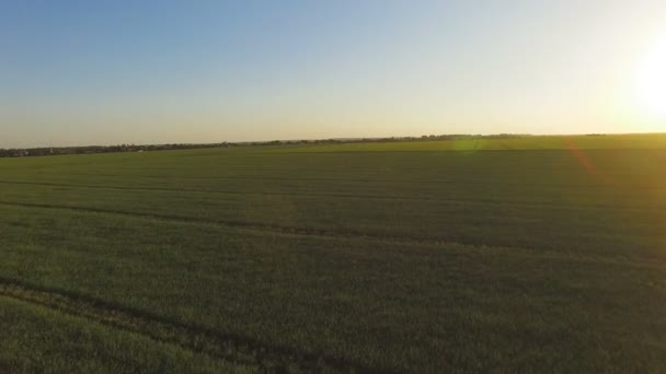 Vista aérea de los campos verdes en el país con la salida del sol grande y brillante — Vídeos de Stock