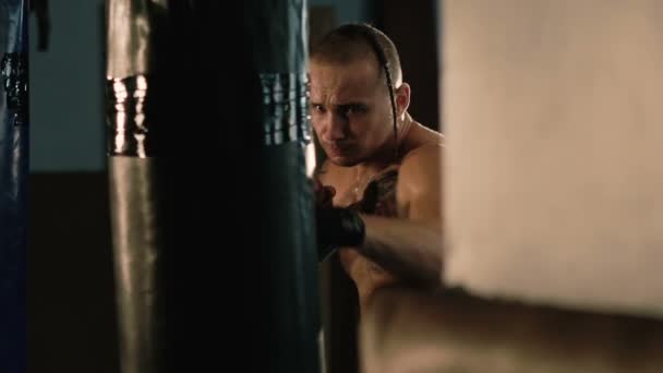 Sem pelos com pigtail em uma cabeça e tatuagens, saco de perfuração de treinamento de lutador livre — Vídeo de Stock