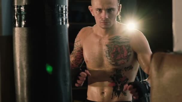 Sans poils avec queue de cochon sur la tête et tatouages, sac de boxe d'entraînement gratuit . — Video