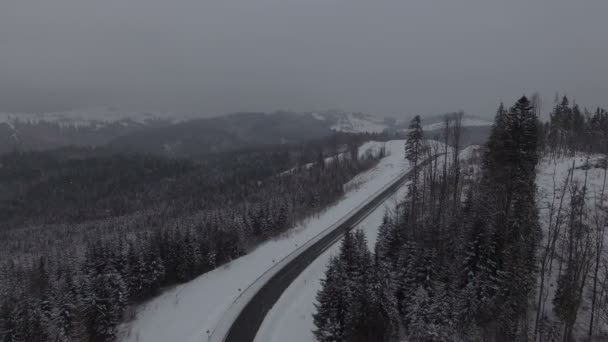 Imágenes aéreas del bosque navideño de coníferas nevadas de invierno. 4k — Vídeos de Stock