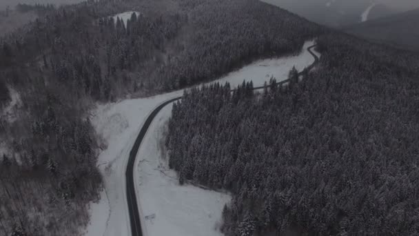 Bosque de invierno vista qerial. 4k — Vídeo de stock