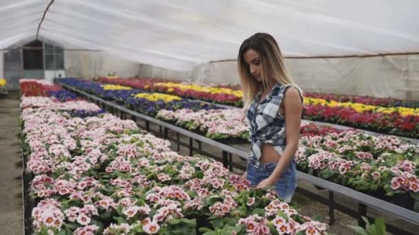 Feliz chica bonita camina y elige flores en el invernadero. 4K — Vídeos de Stock