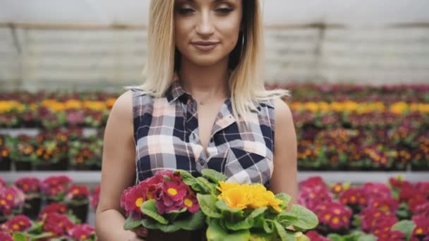 Porträtt av attraktiva flicka sträcker sig blomkrukor till kamera med leenden — Stockvideo