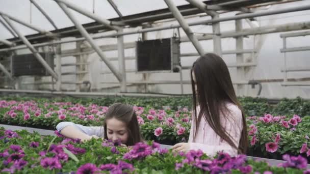 Dos chicas felices eligiendo y oliendo plántulas de flores. 4K — Vídeo de stock