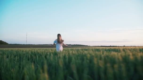 Volver mirada de chica feliz en vestido corriendo en un campo verde — Vídeo de stock