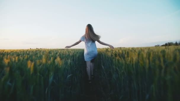 Volver mirada de chica feliz en vestido corriendo en un campo verde — Vídeos de Stock