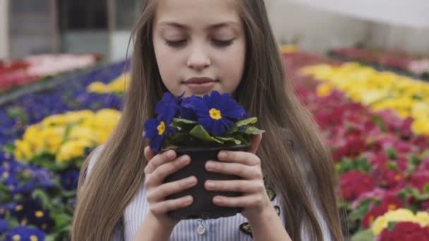 Menina bonita cheira flores com sorriso, poses e olha para a câmera — Vídeo de Stock
