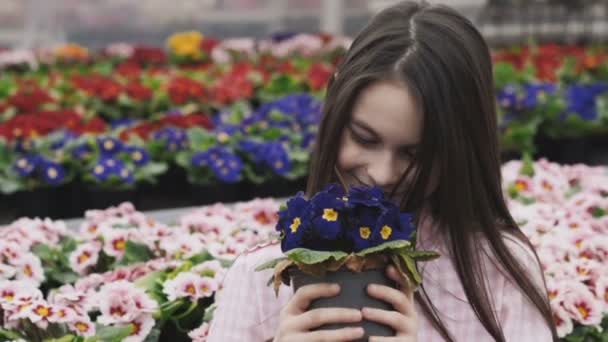 Pretty girl smells flowers with smile, poses and looks at camera — Stock Video