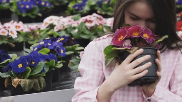 Söt flicka luktar blommor med leende, poserar och ser på kameran — Stockvideo