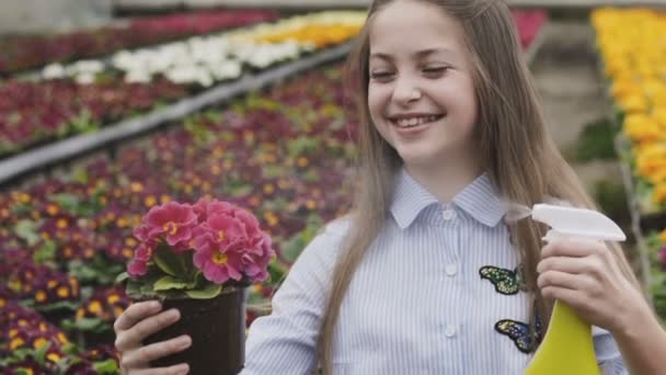 幸せな美少女が植木鉢を温室で噴霧します。ゆっくりと — ストック動画
