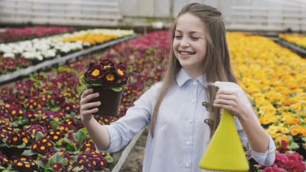 Jolie jolie fille pulvérisant des pots de fleurs en serre. Doucement. — Video