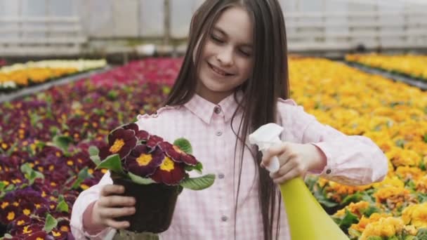 Gelukkig mooi meisje spuiten bloempotten in kas. Langzaam — Stockvideo