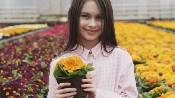 Jolie fille avec pot de fleurs dans les mains regarde la caméra dans la serre — Video