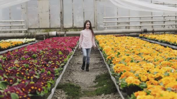 Jolie jeune fille aux cheveux longs marche dans la serre avec le sourire — Video